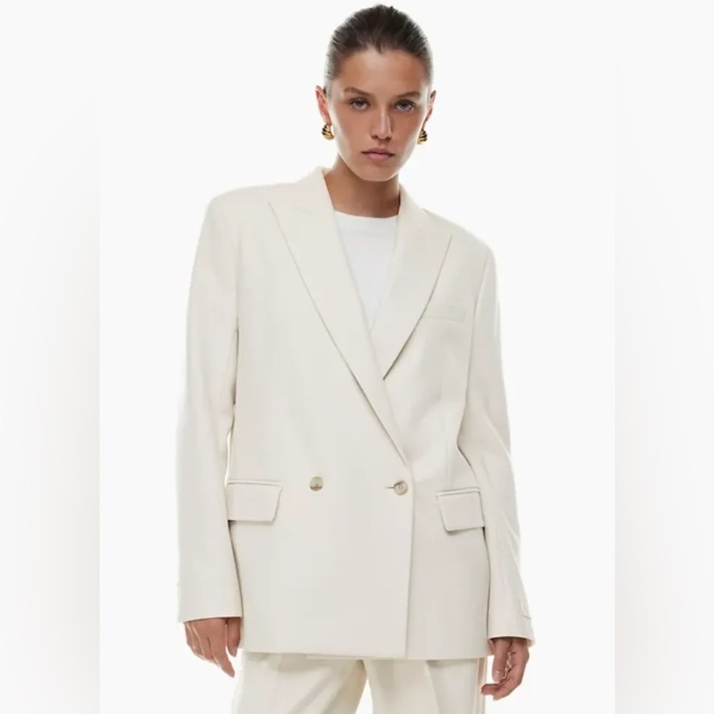 Aritzia Babaton Millions Blazer